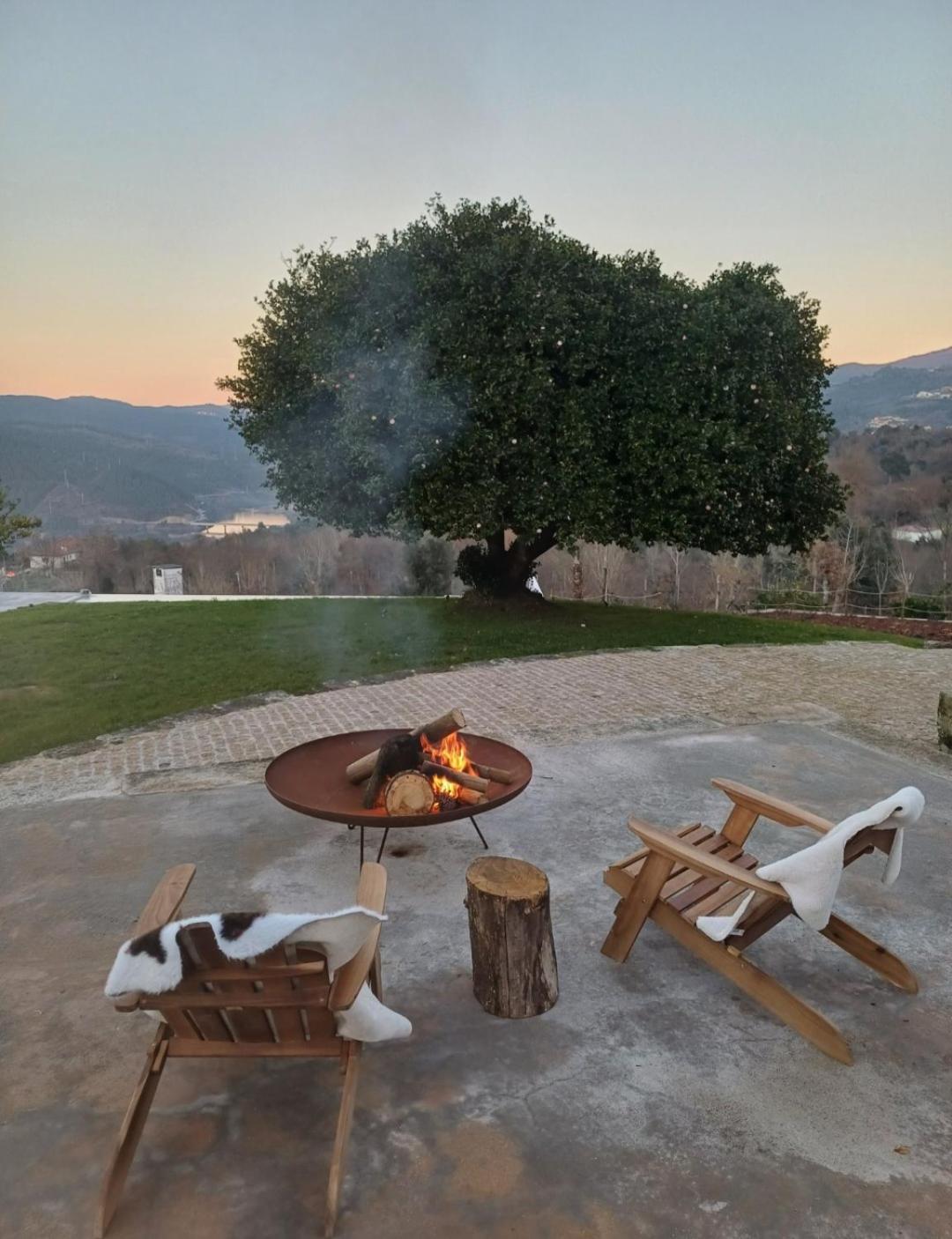Exclusive Pena Rio Villa Ribeira de Pena Eksteriør billede